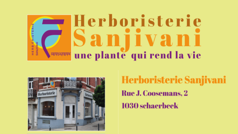 Sanjivani_herboristerie