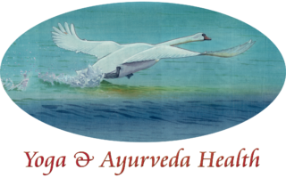 contact YAH - yoga -ayurveda health