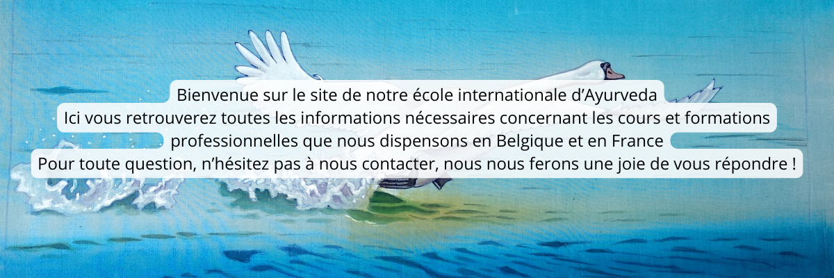 Bannière page accueil site internet